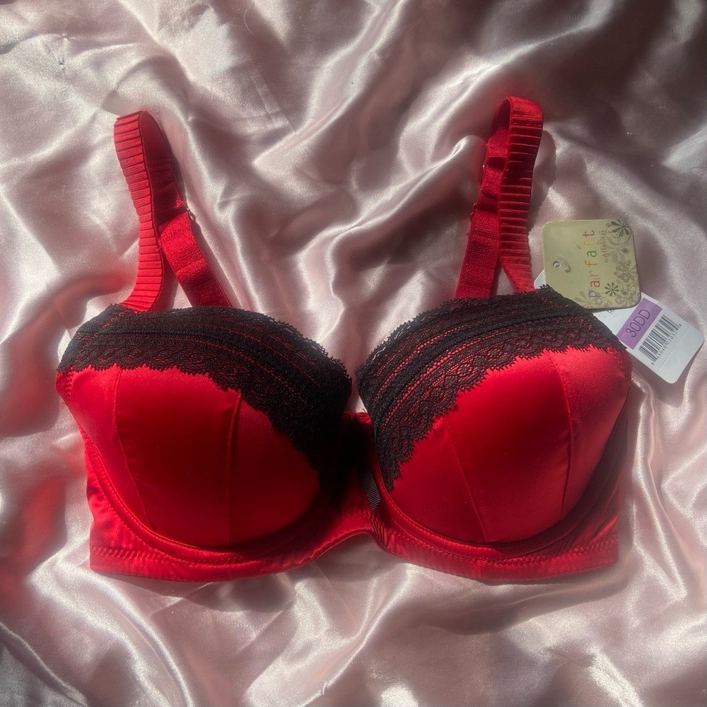Affinitas Red and Black Lace Bra SOLD